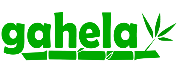 gahela-web-builder-home.png