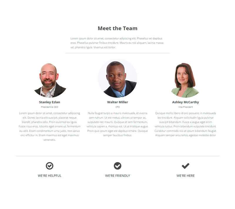 Meet The Team Page Design